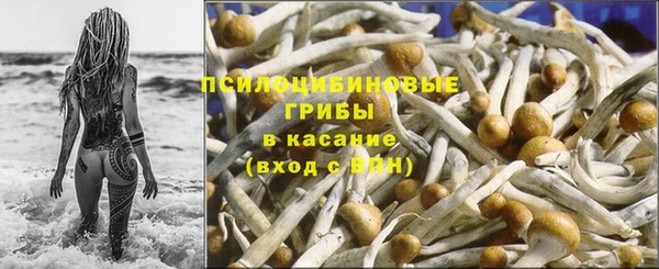 прущие крисы Кулебаки