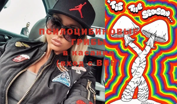 прущие крисы Кулебаки