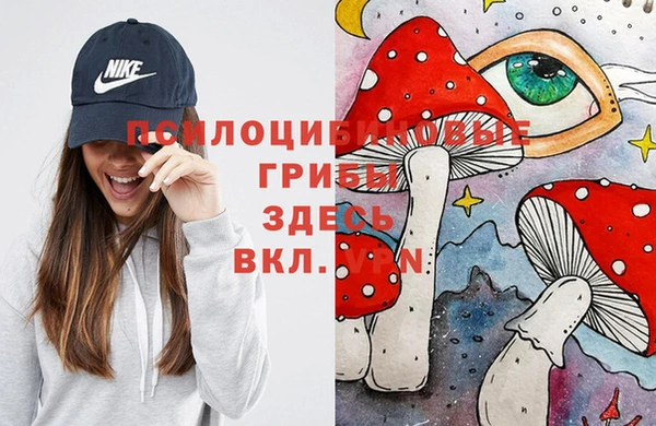 прущие крисы Кулебаки